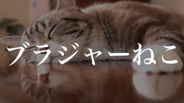 ねこ